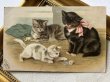 画像2: Postcard  　アンティークポストカード　糸で遊ぶ子猫　Helena Maguire　アメリカ1907年 (2)