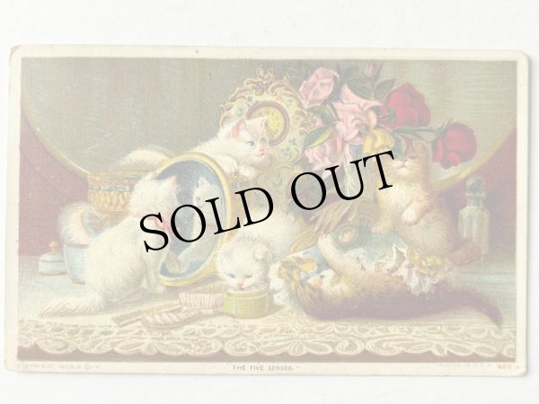 画像1: Postcard  　アンティークポストカード　お化粧台の上で遊ぶ子猫たち　時計　薔薇　香水　アメリカ1910年 (1)