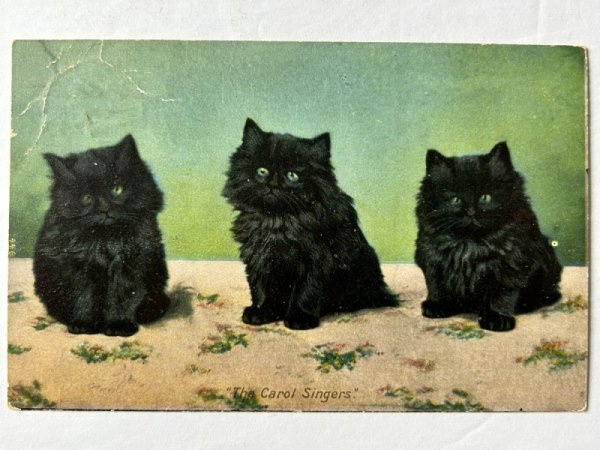 画像1: Postcard  　アンティークポストカード　3匹の子猫　黒猫 (1)