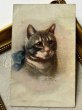 画像2: Postcard  　アンティークポストカード　青いリボンの猫　Kenton アメリカ1909年 (2)