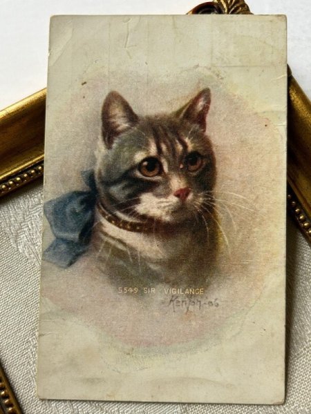 画像2: Postcard   アンティークポストカード 青いリボンの猫 Kenton アメリカ1909年 (2)