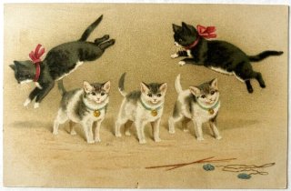 Snowdrop Postcards アンティークポストカード専門店 < Helena