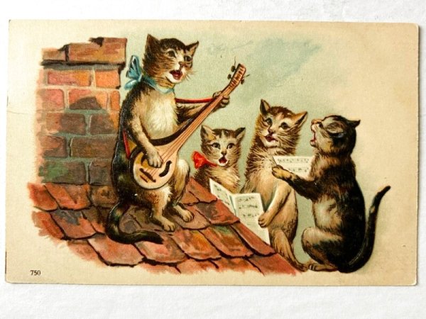 画像1: Postcard  　アンティークポストカード　屋根の上で歌う猫たち　マンドリン　バンジョー (1)