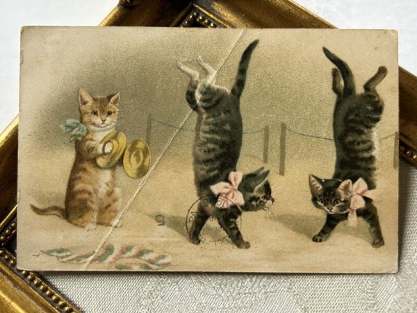 画像2: Postcard   アンティークポストカード 猫の軽業師 曲芸 Helena Maguire (2)