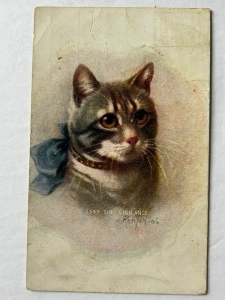 画像1: Postcard  　アンティークポストカード　青いリボンの猫　Kenton アメリカ1909年 (1)
