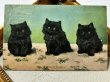 画像2: Postcard  　アンティークポストカード　3匹の子猫　黒猫 (2)