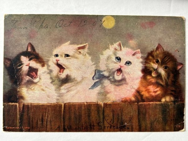 画像1: Postcard  　アンティークポストカード　月夜に歌う猫たち　 (1)