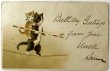 画像1: Postcard  　アンティークポストカード　猫の軽業師　曲芸　綱渡り　Helena Maguire　 (1)