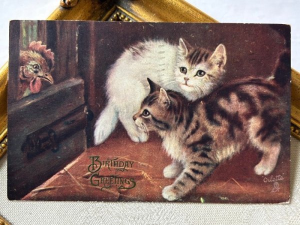 画像2: Postcard   アンティークポストカード ニワトリと子猫 カナダ1909年 (2)