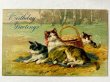 画像1: Postcard  　アンティークポストカード　4匹の猫たち　ピクニック　 (1)