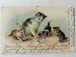 画像1: Postcard  　アンティークポストカード　猫の家族と煙草 (1)