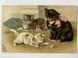 画像1: Postcard  　アンティークポストカード　糸で遊ぶ子猫　Helena Maguire　アメリカ1907年 (1)