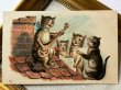 画像2: Postcard  　アンティークポストカード　屋根の上で歌う猫たち　マンドリン　バンジョー (2)