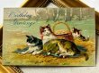 画像2: Postcard  　アンティークポストカード　4匹の猫たち　ピクニック　 (2)