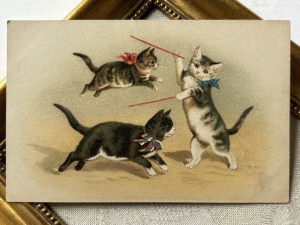 画像2: Postcard   アンティークポストカード 猫の軽業師 曲芸 Helena Maguire (未使用) (2)