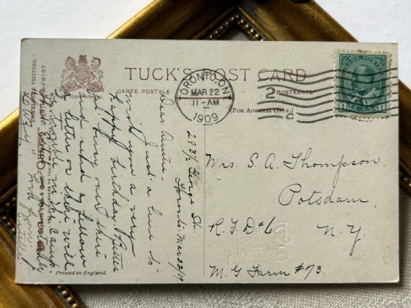 画像3: Postcard   アンティークポストカード ニワトリと子猫 カナダ1909年 (3)