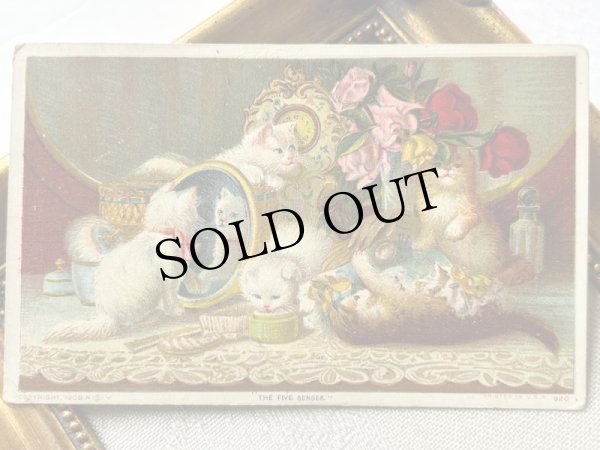 画像2: Postcard  　アンティークポストカード　お化粧台の上で遊ぶ子猫たち　時計　薔薇　香水　アメリカ1910年 (2)