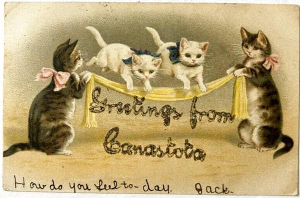 画像1: Postcard  　アンティークポストカード　猫の軽業師　曲芸　Helena Maguire　アメリカ1906年 (1)