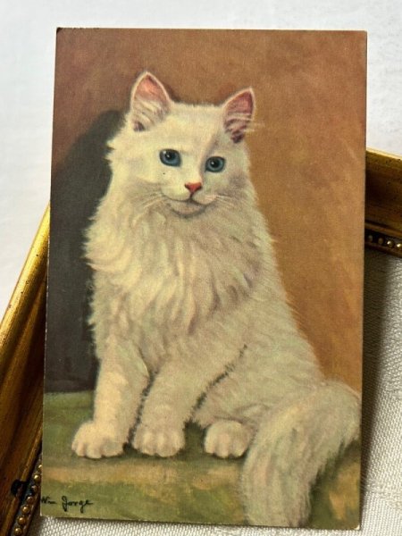 画像2: Postcard   アンティークポストカード 青い瞳の白猫 長毛  (2)