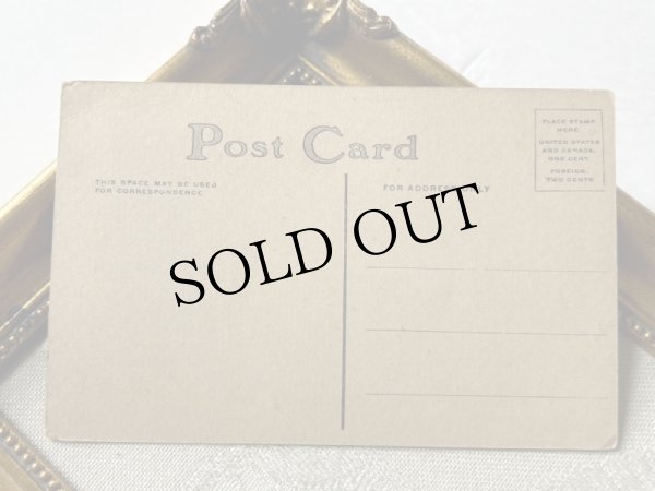 画像3: Postcard　アンティークポストカード  子猫　（未使用） (3)