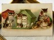 画像2: Postcard  　アンティークポストカード　6匹の猫たち　手紙と傘　ボール　アメリカ1910年 (2)