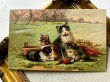 画像2: Postcard  　アンティークポストカード　4匹の猫たち　猫の家族　ボール (2)