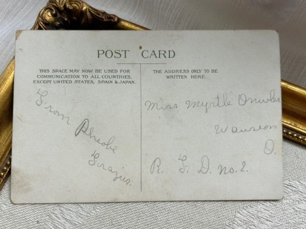 画像3: Postcard   アンティークポストカード バスケットの中の5匹の子猫たち  (3)