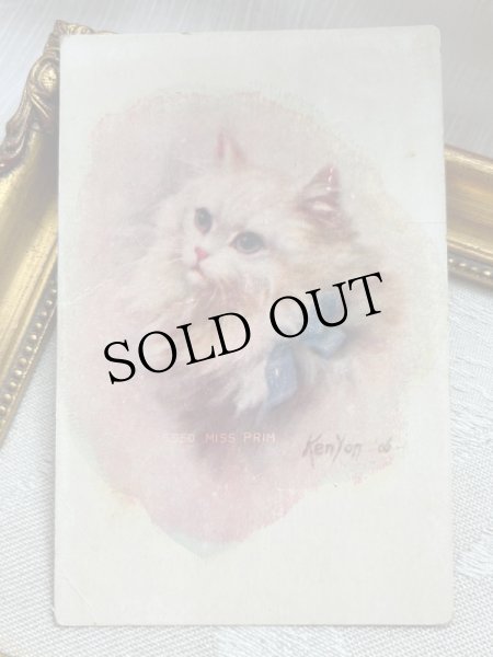 画像2: Postcard 　アンティークポストカード　長毛の白猫 (2)