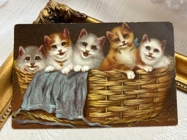 画像2: Postcard   アンティークポストカード バスケットの中の5匹の子猫たち  (2)