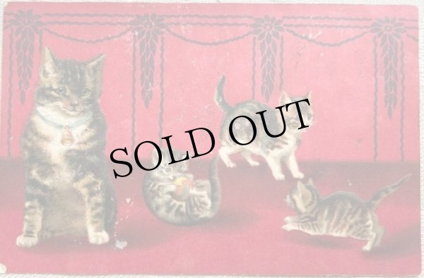 画像1: Postcard  　アンティークポストカード　キジトラ猫の家族　Helena Maguire　 (1)