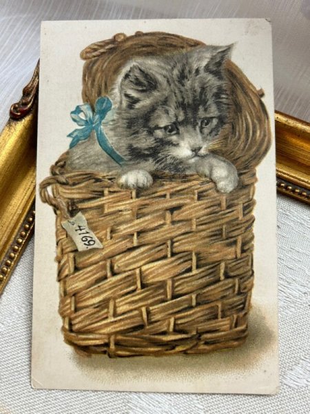 画像2: Postcard   アンティークポストカード ランドリーバスケットの中の猫 (2)