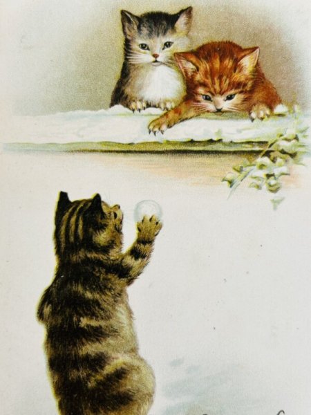 画像2: Postcard   アンティークポストカード 雪玉を投げるキジトラ猫 雪合戦 フランス1905年 (2)