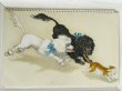 画像1: Postcard　アンティークポストカード　猫を追いかけるプードル犬　スタンダードプードル (1)