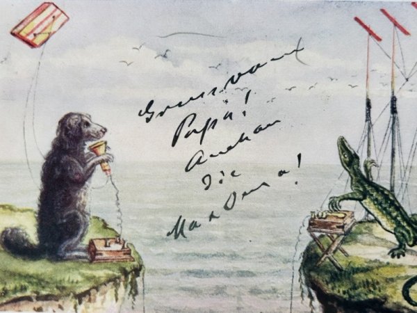 画像2: Postcard　アンティークポストカード　トカゲからワイヤレス電報を受け取るニューファンドランド犬　アメリカ1905年 (2)