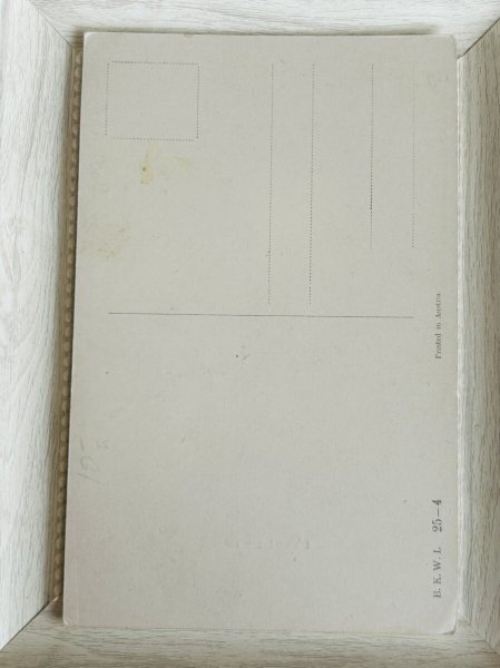 画像2: Postcard　アンティークポストカード　Bonzo サボテンとボンゾ犬　（未使用） (2)