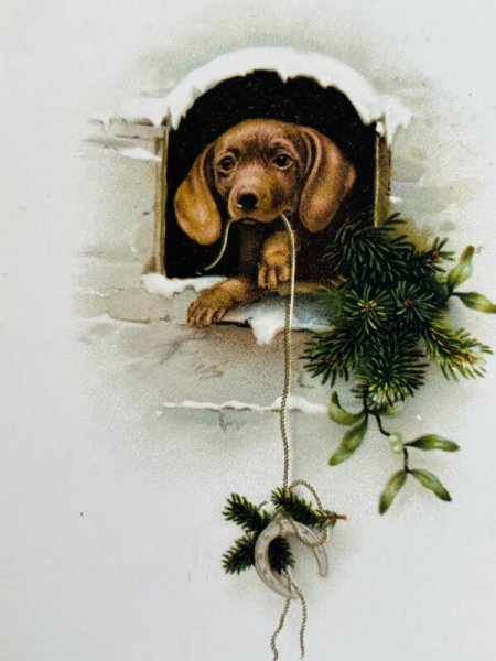画像2: Postcard　アンティークポストカード　新年　New Year　ダックスフンド犬 (2)