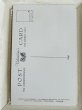 画像2: Postcard　アンティークポストカード　Bonzo 　ヒラメを盗むボンゾ犬（未使用） (2)