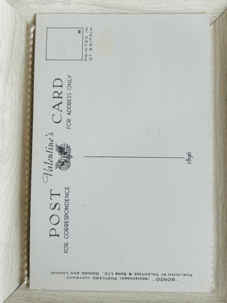 画像2: Postcard　アンティークポストカード　Bonzo 　ヒラメを盗むボンゾ犬（未使用） (2)