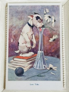 Snowdrop Postcards アンティークポストカード専門店 < Dog >
