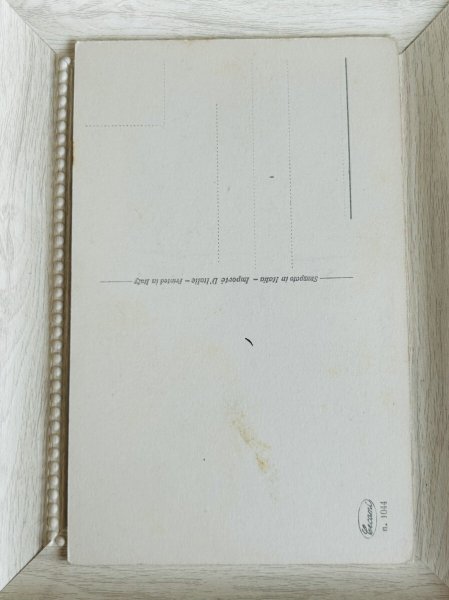 画像3: Postcard　アンティークポストカード　ヨークシャーテリア犬　イタリア (3)