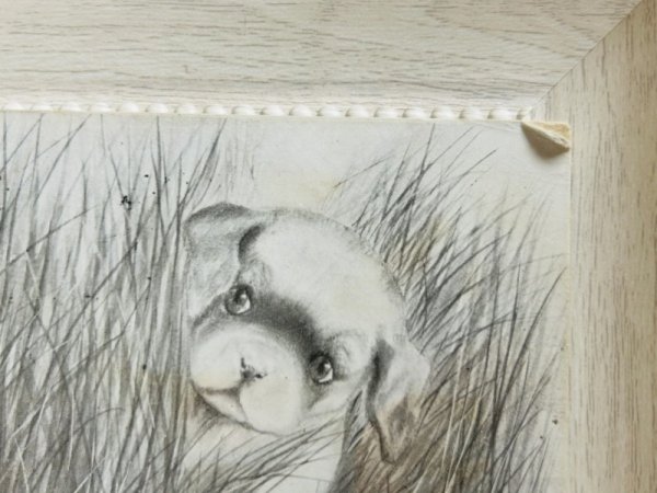 画像2: Postcard　アンティークポストカード　犬と猫 (2)