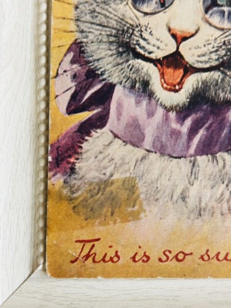 角の折れ、テープでの補修痕などあり