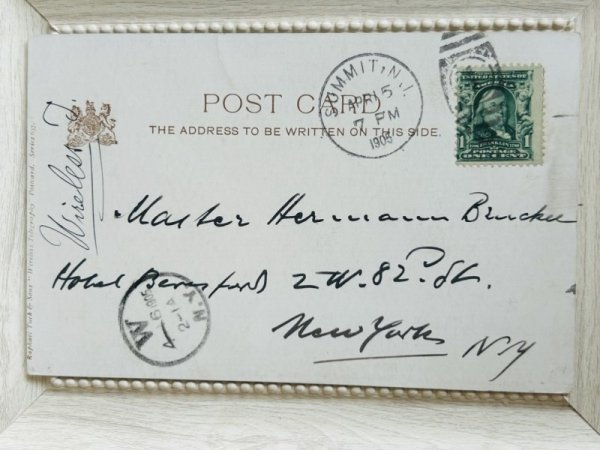 画像3: Postcard　アンティークポストカード　トカゲからワイヤレス電報を受け取るニューファンドランド犬　アメリカ1905年 (3)