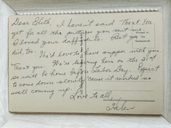 画像3: Postcard　アンティークポストカード　犬車でお出かけをする犬と猫 (3)