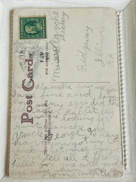 画像3: Postcard  　アンティークポストカード　眼鏡の猫　A.Thiele　 (3)