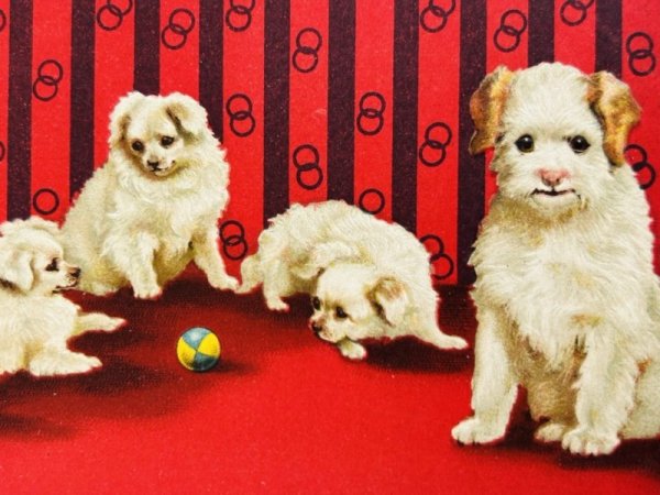 画像2: Postcard  　アンティークポストカード　ボールで遊ぶ犬たち　Helena Maguire　（未使用） (2)