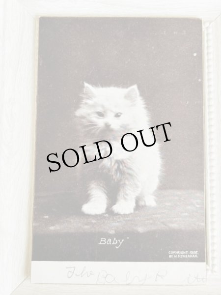 画像1: Postcard　アンティークポストカード　子猫　 (1)