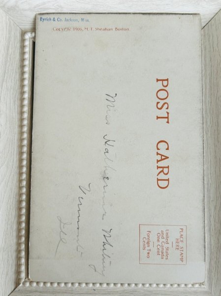 画像2: Postcard　アンティークポストカード　子猫　 (2)