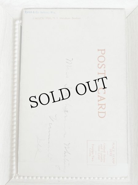 画像2: Postcard　アンティークポストカード　子猫　 (2)