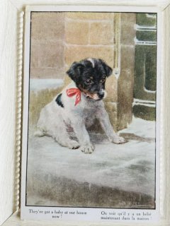 『2匹のテリア犬』ヴィンテージ銅版画  Meyer Eberhardt クルト・メイヤー＝エバハート 手彩色 銅版画 / 8匹の犬 / エッチング